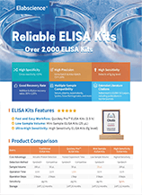 ELISA Kits Flyer (2025)